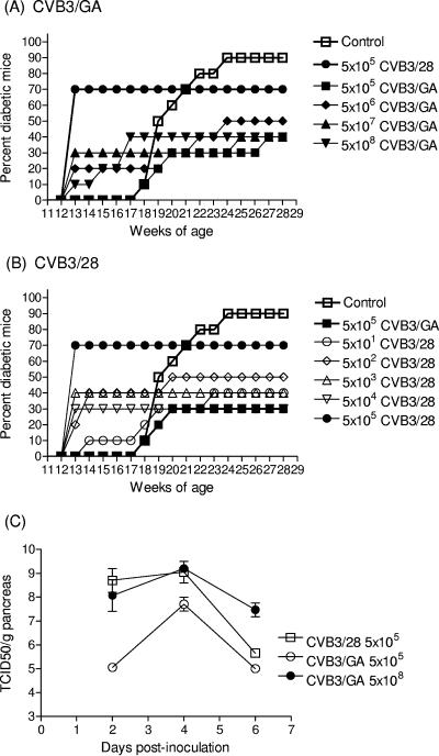 FIG.1.