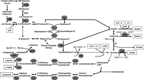 FIG. 2.