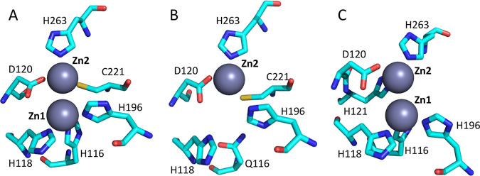 FIG 1