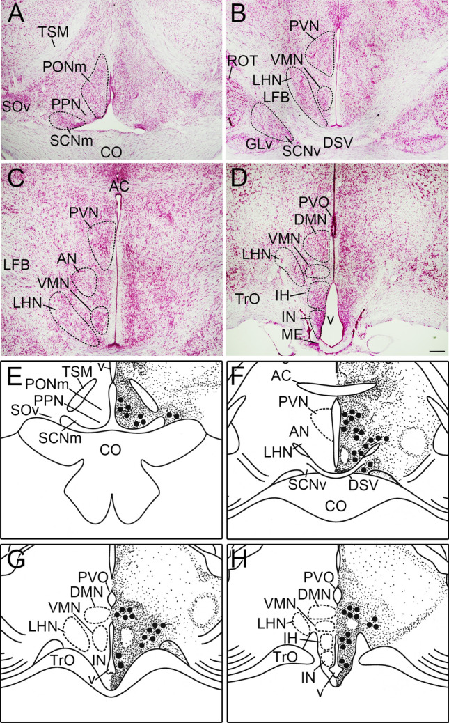 Fig. 4