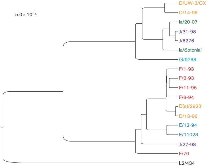 Fig. 3. 