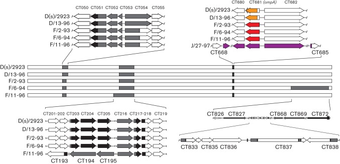 Fig. 4. 