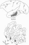 8684