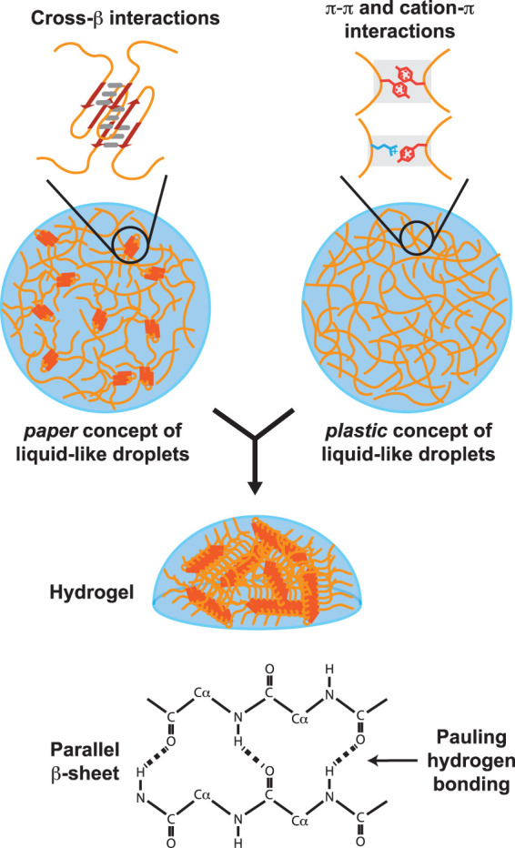 FIGURE 1.