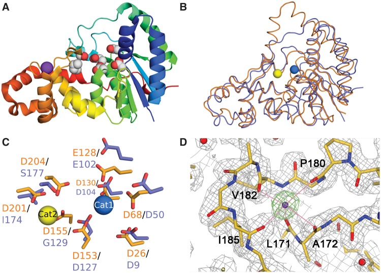 Figure 1.