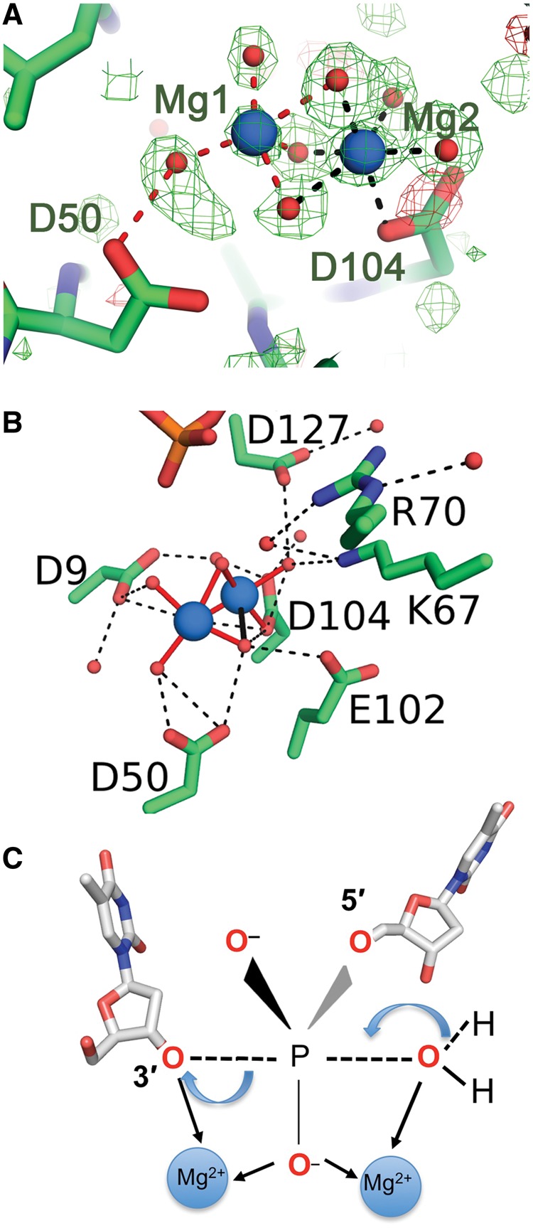 Figure 4.