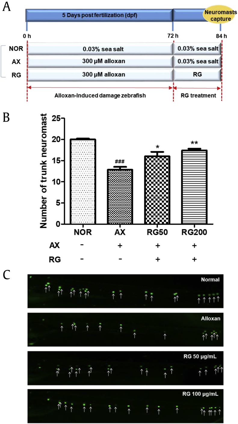 Fig. 4