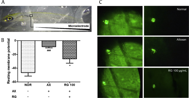 Fig. 6