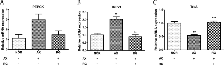 Fig. 8