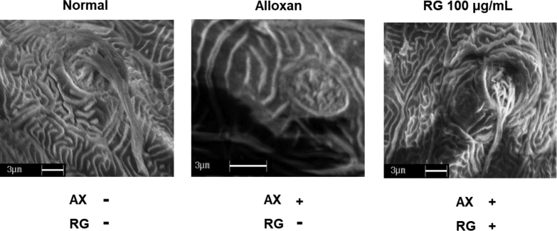 Fig. 5