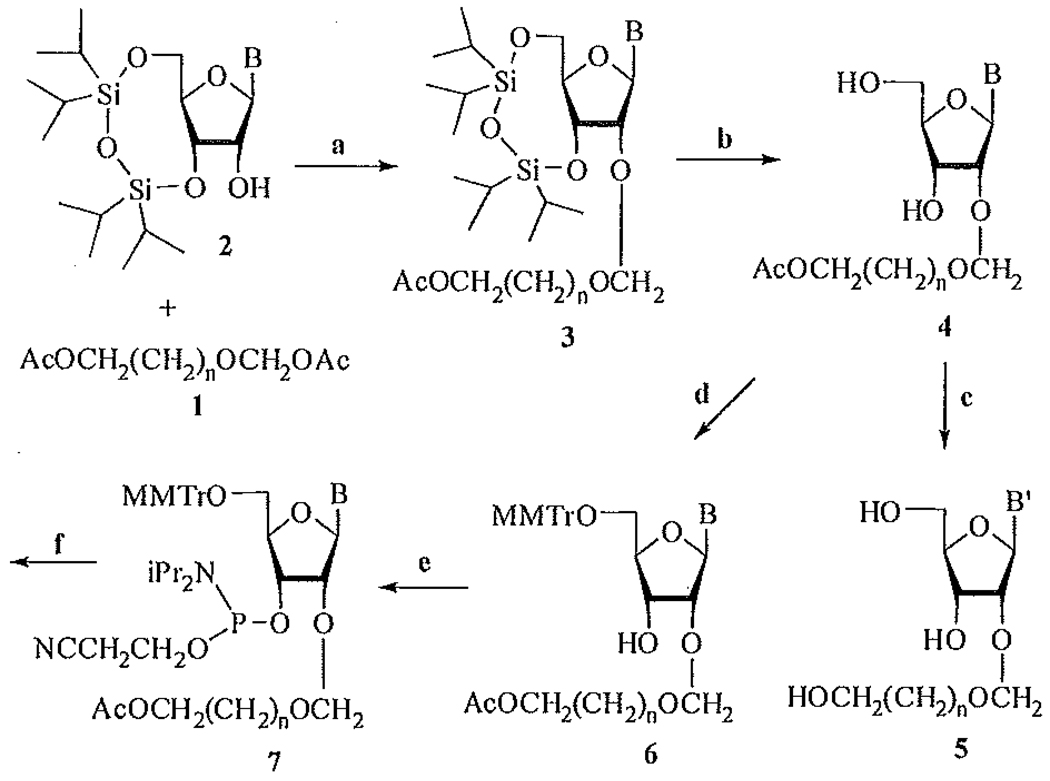 SCHEME 1