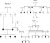 Fig. 8.