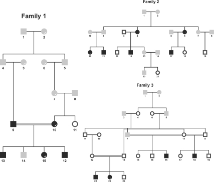 Fig. 8.