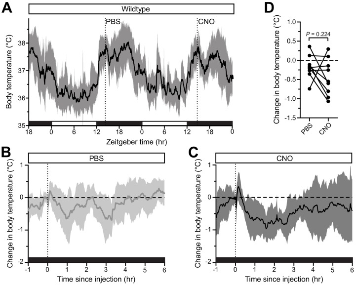 Figure 3—figure supplement 2.