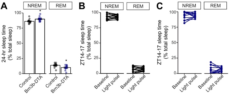 Figure 4—figure supplement 1.