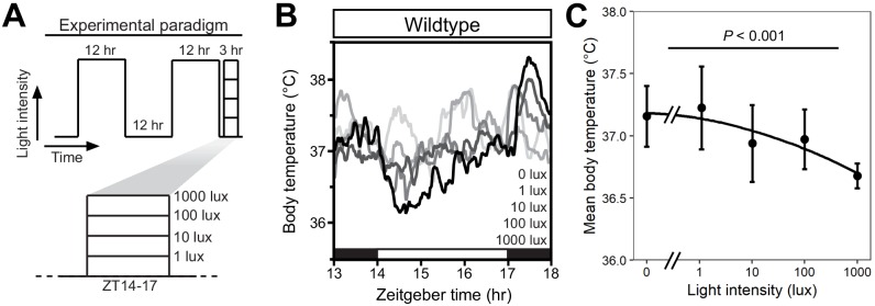 Figure 1—figure supplement 1.