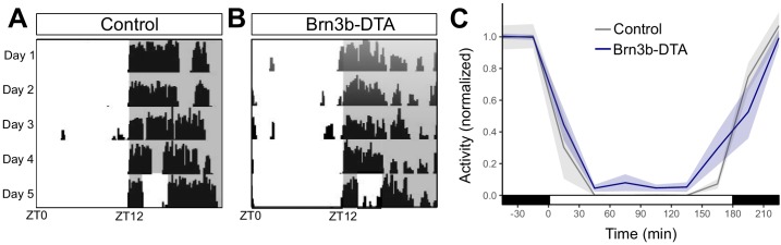 Figure 4—figure supplement 3.