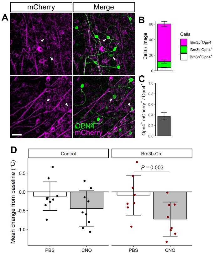 Figure 3—figure supplement 1.