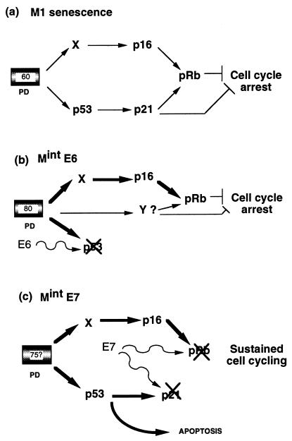 FIG. 9