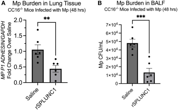 Figure 7