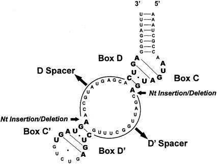 FIGURE 1.