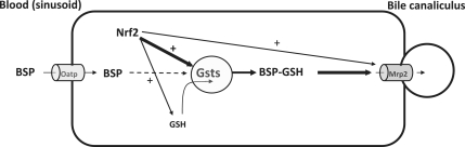 FIG. 6.