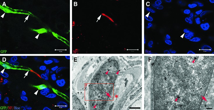 FIG. 7.