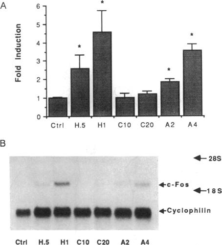 graphic file with name pnas01084-0061-a.jpg