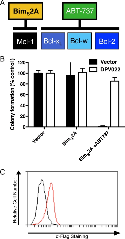 FIG. 7.