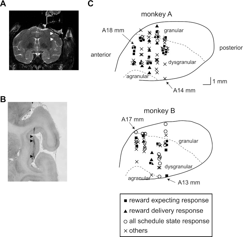 Fig. 2.