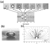 Fig. 2