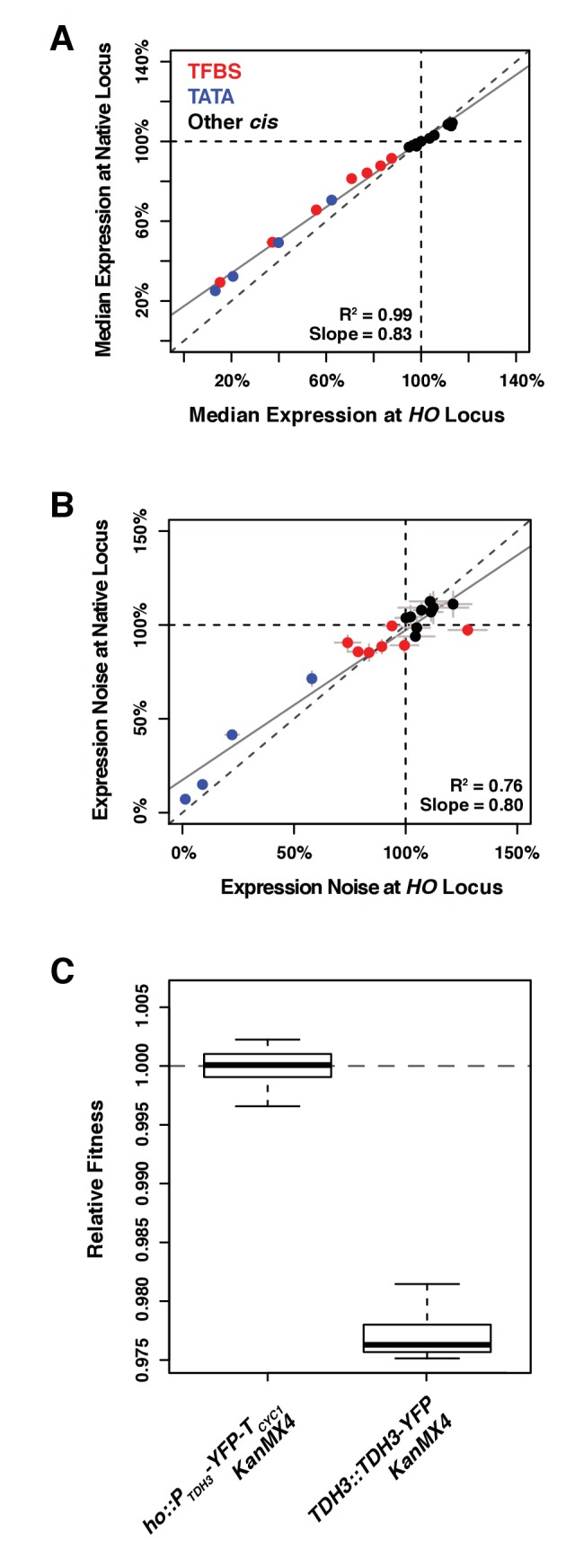 Figure 2—figure supplement 1.