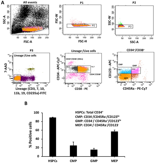 Figure 2: