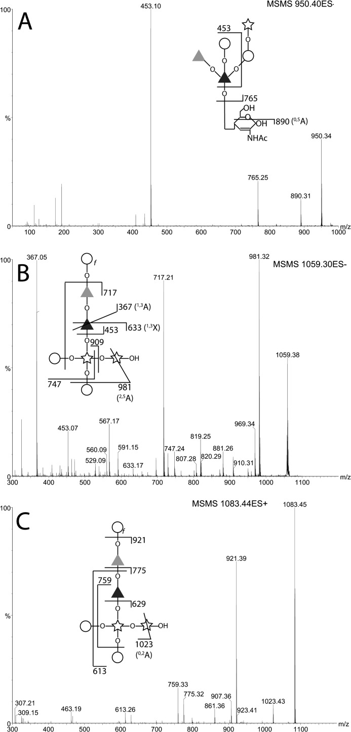 FIGURE 5.