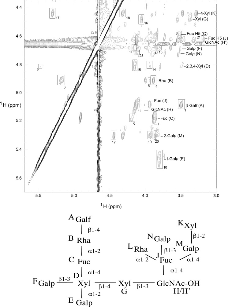 FIGURE 2.