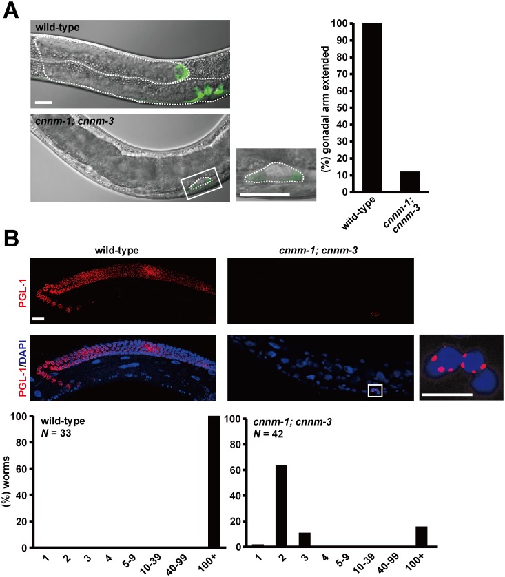 Fig 4