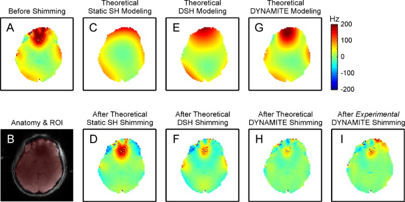 FIGURE 11