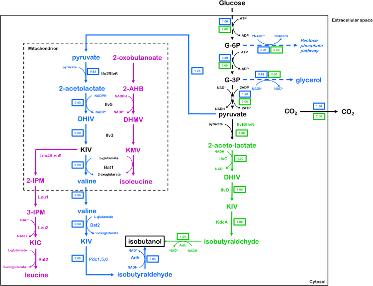 Fig. 1