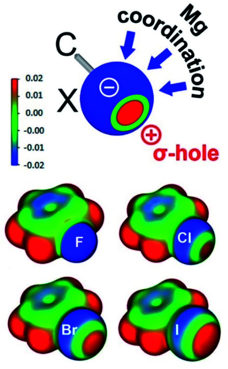 Fig. 2