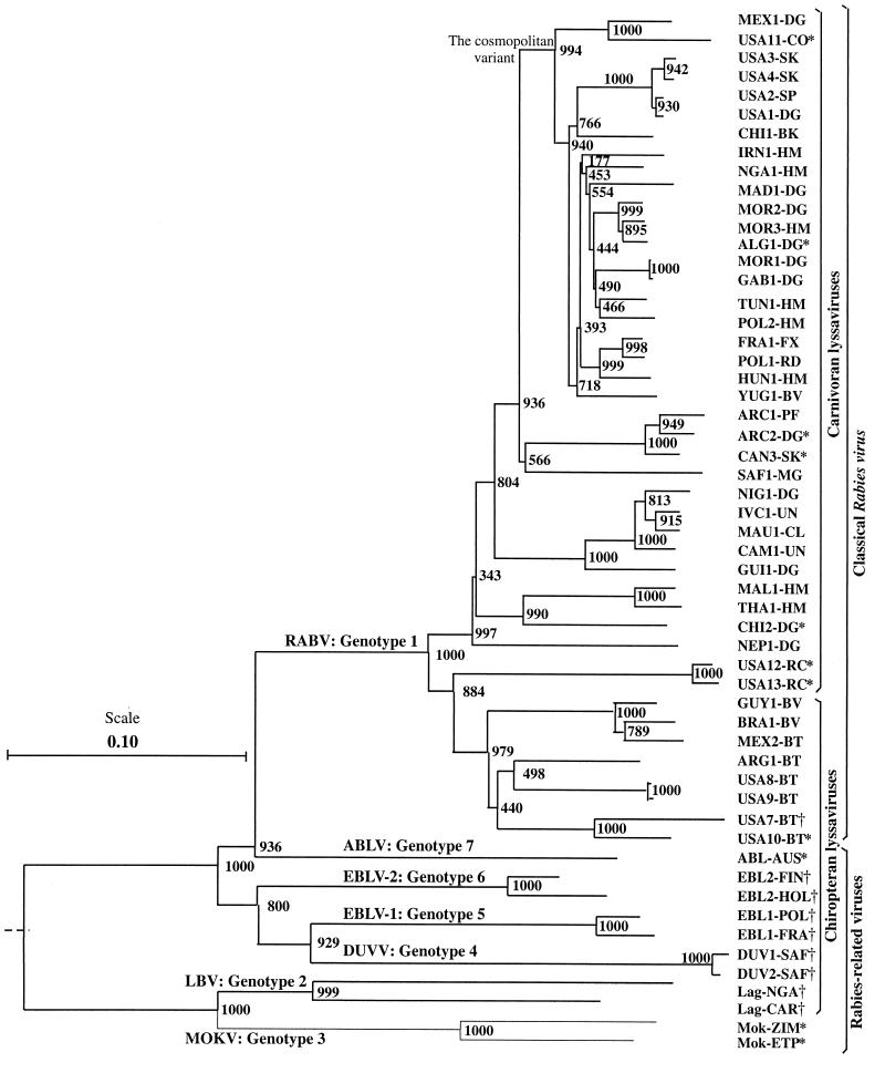 FIG. 1