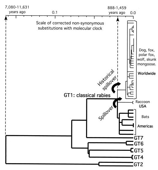 FIG. 3