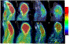Fig. 3.