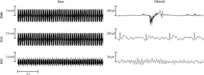 Fig. 4