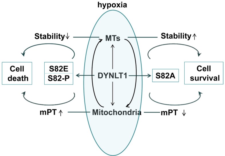 Fig. 8.