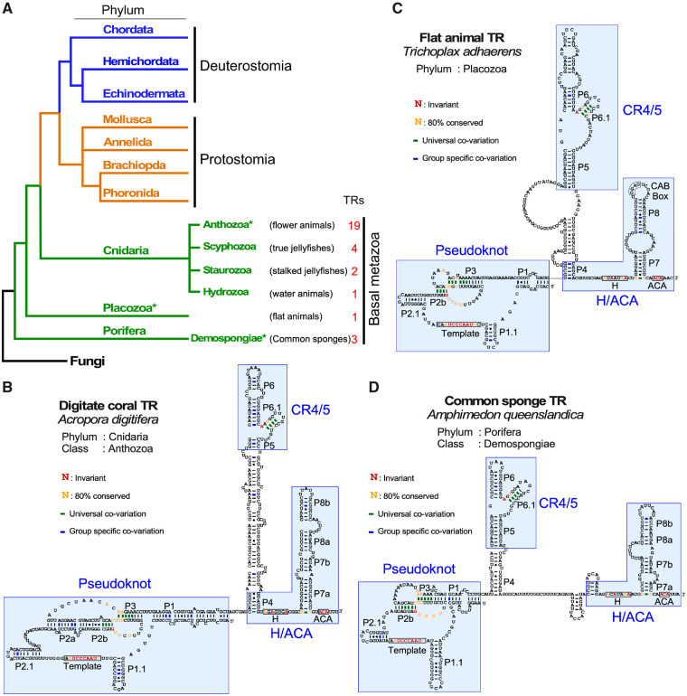 Fig. 6.