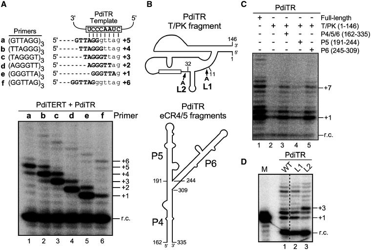 Fig. 5.