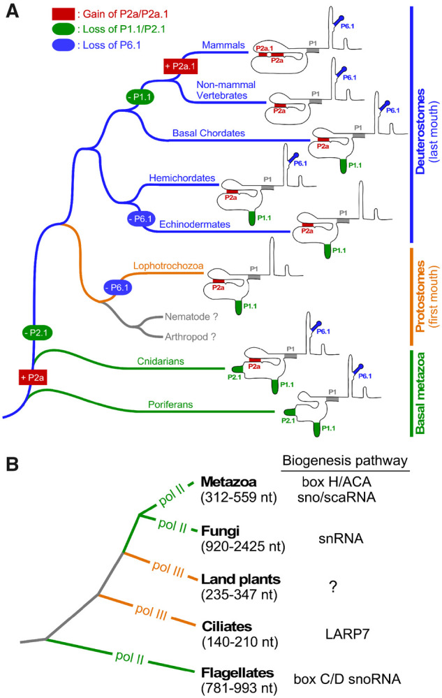 Fig. 7.