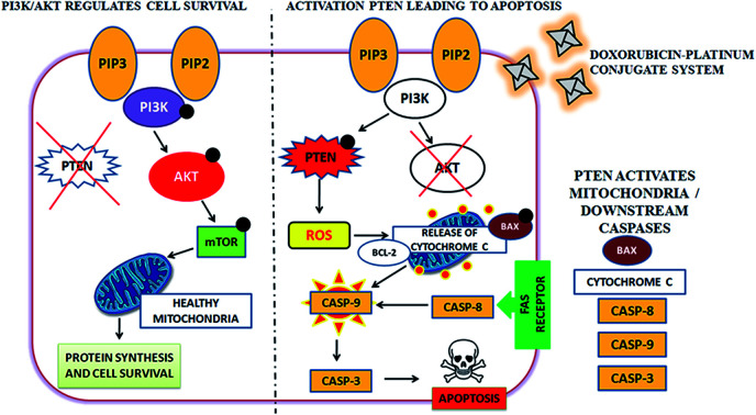 graphic file with name d0ra06708c-ga.jpg