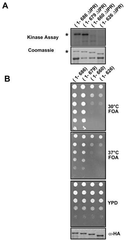 FIG. 5.