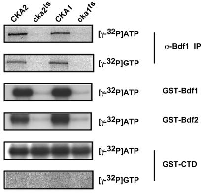 FIG. 7.